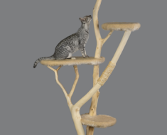 How to Turn a Cat Tree Into The Ultimate Cat Toy