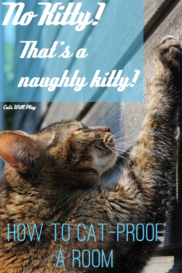 No Kitty! That's a Naughty Kitty! How to CatProof a Room Cats Will Play