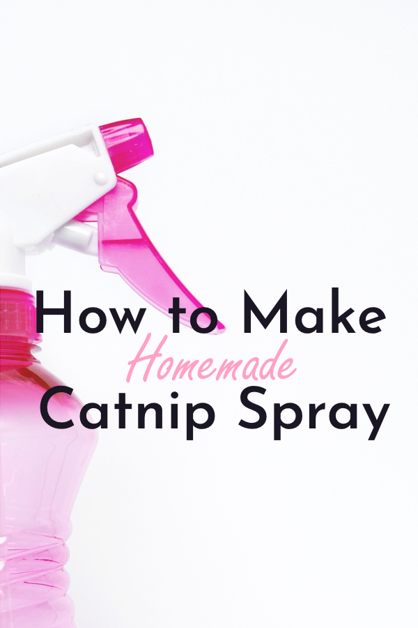 Cat Enchantment How to Make Homemade Catnip Spray Cats Will Play