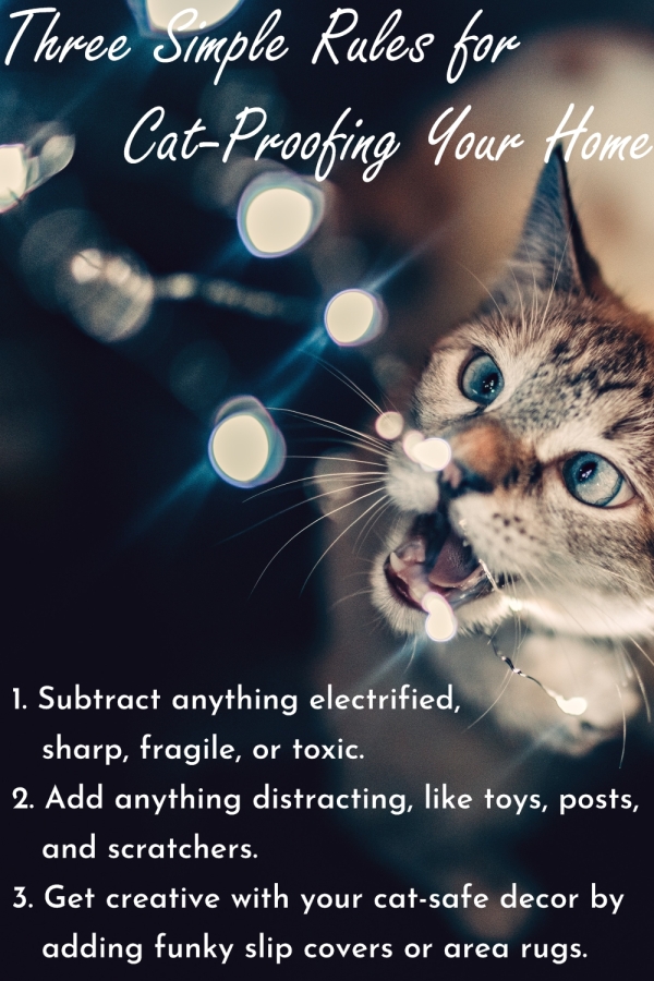 No Kitty! That's a Naughty Kitty! How to CatProof a Room Cats Will Play