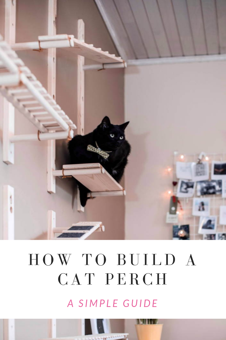 Kitty DIY How to Build a Cat Perch Cats Will Play