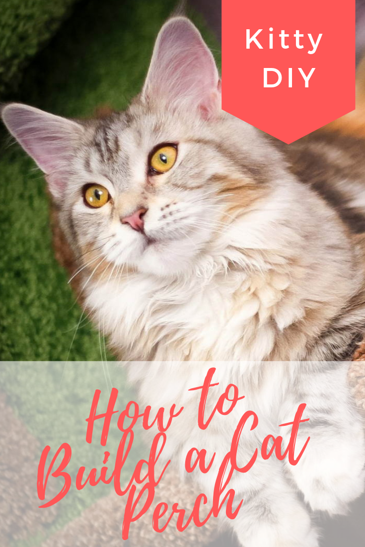 Kitty DIY How to Build a Cat Perch Cats Will Play