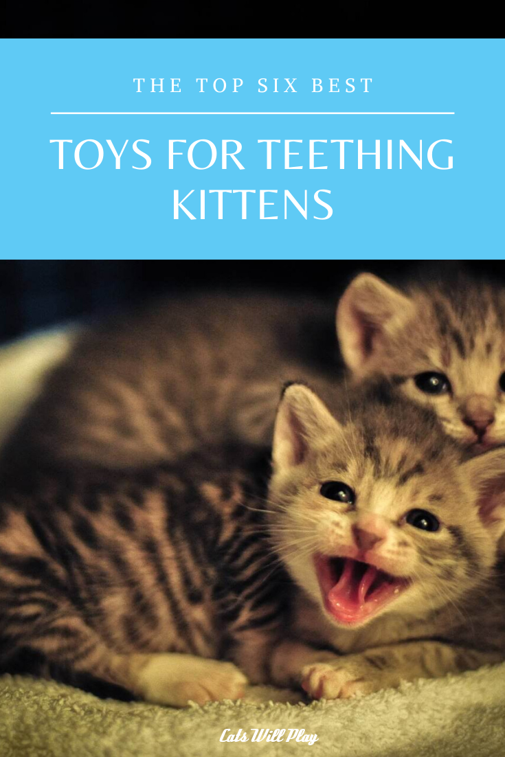 The Top Six Best Kitten Teething Toys Cats Will Play