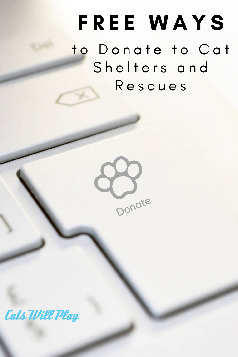 Free Ways to Donate to Cat Shelters and Rescues Cats Will Play