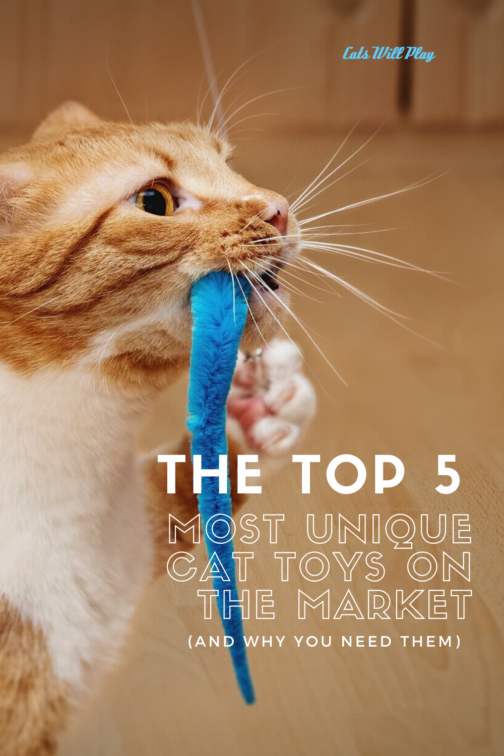 The Top 5 Most Unique Cat Toys on the Market (and Why You Need Them