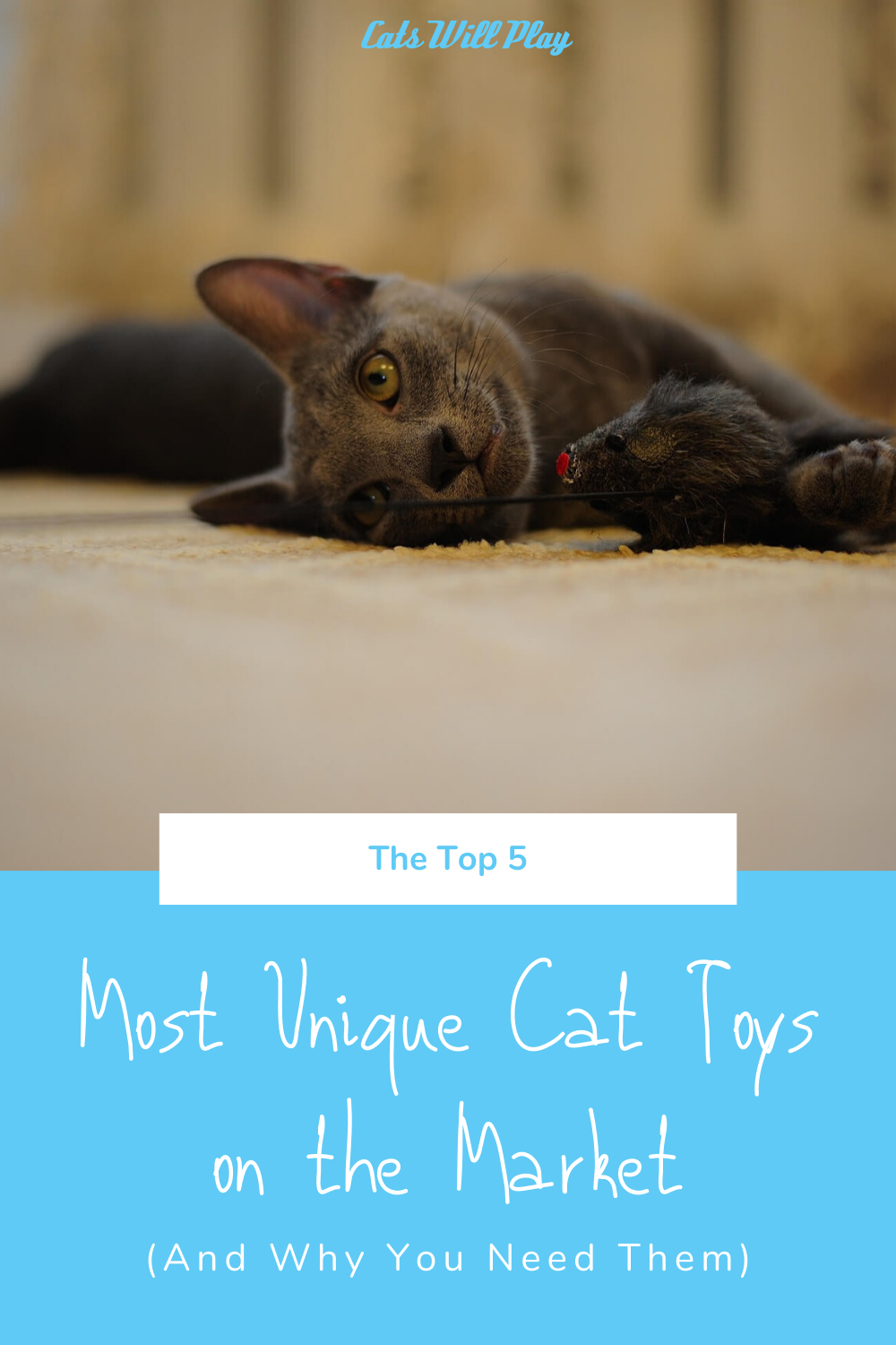 The Top 5 Most Unique Cat Toys on the Market (and Why You Need Them