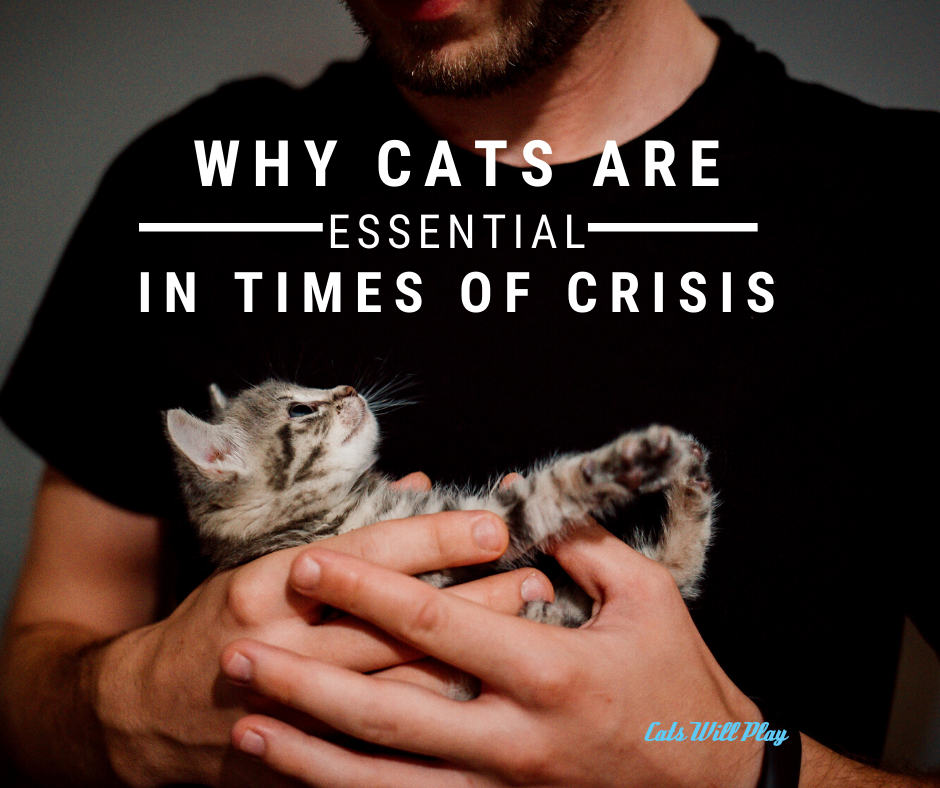 Why Cats are Essential in Times of Crisis Cats Will Play