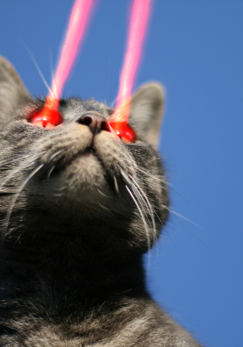 Kitty Phasers Locked: The Top Four Best Laser Pointer Cat Toys